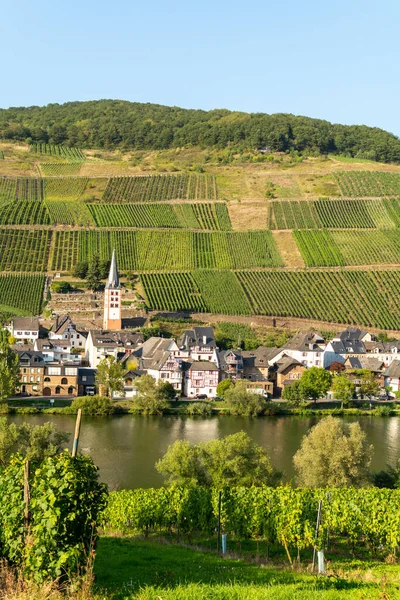 Pohled Malé Německé Městečko Údolí Řeky Mosel Turisté Cíl Vinařství — Stock fotografie