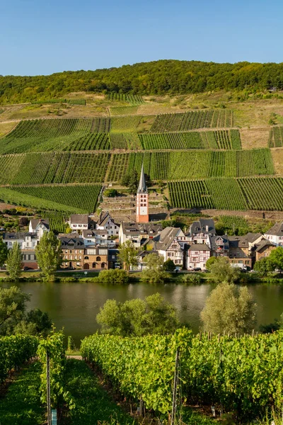 Pohled Malé Německé Městečko Údolí Řeky Mosel Turisté Cíl Vinařství — Stock fotografie