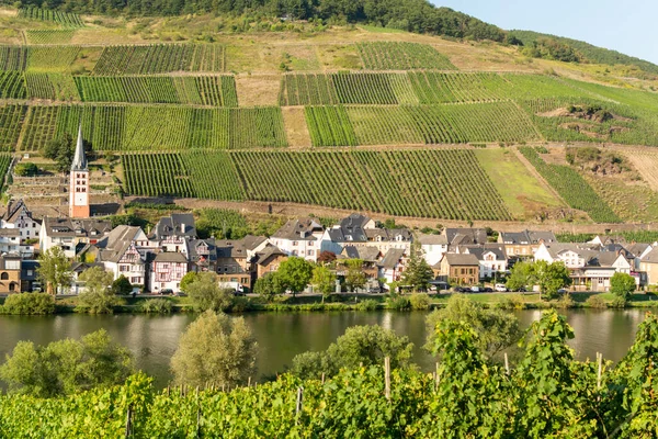 Vue Sur Petite Ville Allemande Située Dans Vallée Rivière Mosel — Photo