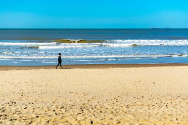 Scheveningen yakınlarındaki Kuzey Denizi plajında güneşli bir gün, Avrupa 'daki turist ve tatil beldesi