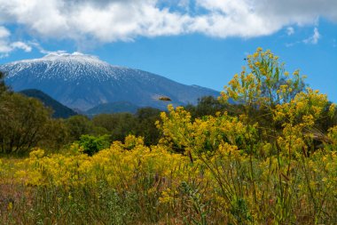 İlkbaharda İtalya 'nın Sicilya adasının doğu kıyısındaki Etna Dağı etkin stratovolcano manzarası