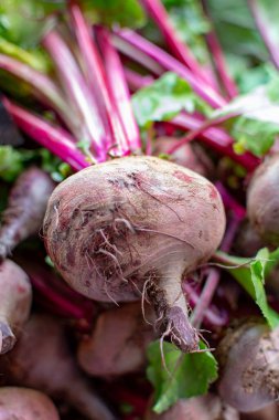 Yunanistan 'ın Nafplio kentindeki tarım pazarı, yeni kırmızı pancar kökü sebzesi hasadı, taze ve sağlıklı organik gıda yakında.