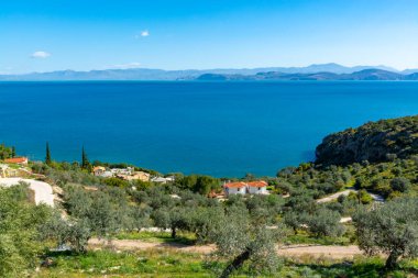 Peloponnese, Yunanistan 'ın Arkadiko kenti yakınlarındaki küçük Yunan adaları koyları ve ağaçlarıyla manzara, yaz tatili beldesi