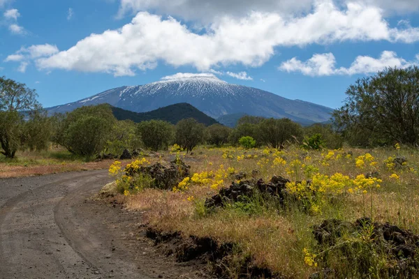 Kilátás Etna Hegy Aktív Sztratovulkánjára Szicília Sziget Keleti Partján Olaszországban — Stock Fotó