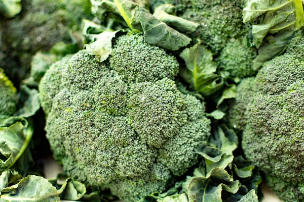 Kepala Hijau Muda Brokoli Sayuran Kubis Pasar Petani — Stok Foto