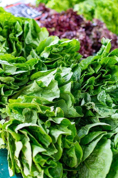 Farmer market in Nafplio, Greece, new harvest of green salad lettuce vegetable, fresh and healthy organic food, food background