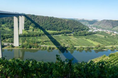 Mosel Nehri vadisi boyunca uzanan yüksek otoban viyadük köprüsünün panoramik manzarası ve teraslı üzüm bağları, karayolu ağı ve ulaşım Almanya 'dır.