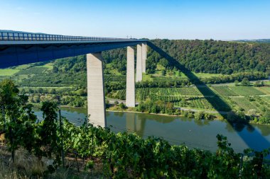 Mosel Nehri vadisi boyunca uzanan yüksek otoban viyadük köprüsünün panoramik manzarası ve teraslı üzüm bağları, karayolu ağı ve ulaşım Almanya 'dır.
