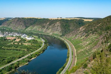 Mosel Nehri vadisinde manzara manzarası ve yeşil teraslı üzüm bağları, Almanya, kaliteli beyaz ve kırmızı şarap üretimi, yükselen