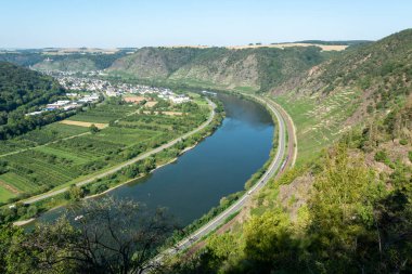 Mosel Nehri vadisinde manzara manzarası ve yeşil teraslı üzüm bağları, Almanya, kaliteli beyaz ve kırmızı şarap üretimi, yükselen