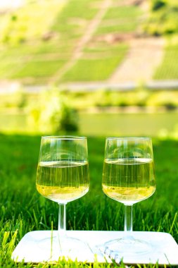 Almanya 'nın Mosel nehri vadisinde teraslı üzüm bağlarında yetişen beyaz üzümlerden üretilen ünlü Alman kaliteli beyaz şarap riesling' i tatmak.