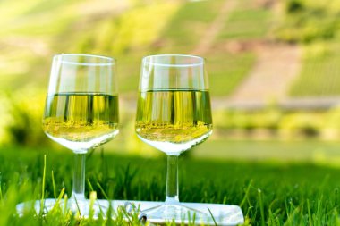 Almanya 'nın Mosel nehri vadisinde teraslı üzüm bağlarında yetişen beyaz üzümlerden üretilen ünlü Alman kaliteli beyaz şarap riesling' i tatmak.