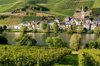 Mosel Nehri Vadisi 'ndeki küçük Alman kasabasının manzarası, Almanya' da şarap bölgesinde turistlerin gideceği yer.