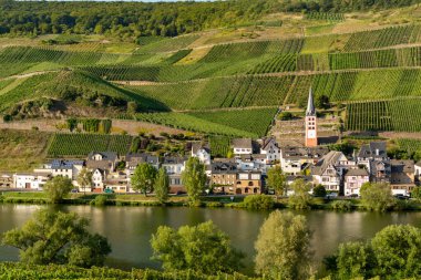Mosel Nehri Vadisi, Almanya 'da ünlü yeşil teraslı üzüm bağları, kaliteli beyaz ve kırmızı şarap üretimi, dalgalanan
