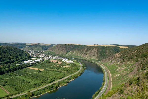 Vista Paisagem Vale Rio Mosel Vinhas Terraços Verdes Alemanha Produção — Fotografia de Stock