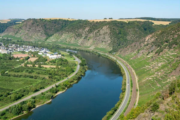 Vista Paisagem Vale Rio Mosel Vinhas Terraços Verdes Alemanha Produção — Fotografia de Stock
