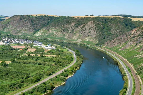 Widok Dolinę Rzeki Mosel Zielone Tarasowe Winnice Niemcy Produkcja Wysokiej — Zdjęcie stockowe