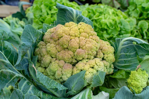 New Harvest Tasty Sicilian Green Cauliflower Vegetable Market Close — Stock Photo, Image