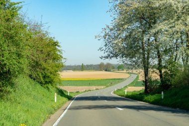 Güneşli bir günde, Haspengouw bölgesinde, Limburg, Belçika 'da tarlaları, bahçeleri ve yolları olan bahar manzarası