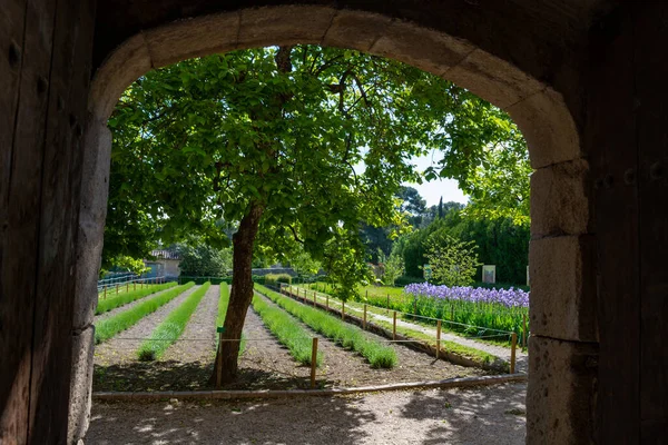 Remy Provence Bouches Rhone Provenza Francia 2019 Patio Monasterio San —  Fotos de Stock