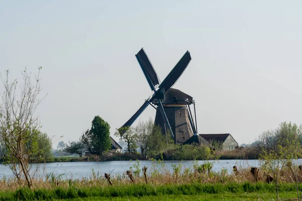 北荷兰的水道与荷兰传统风车景观 荷兰生活风景 — 图库照片