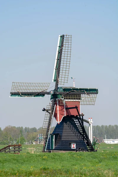 Blick Auf Traditionelle Holländische Windmühle Frühlingslandschaft Nordholland Niederlande — Stockfoto