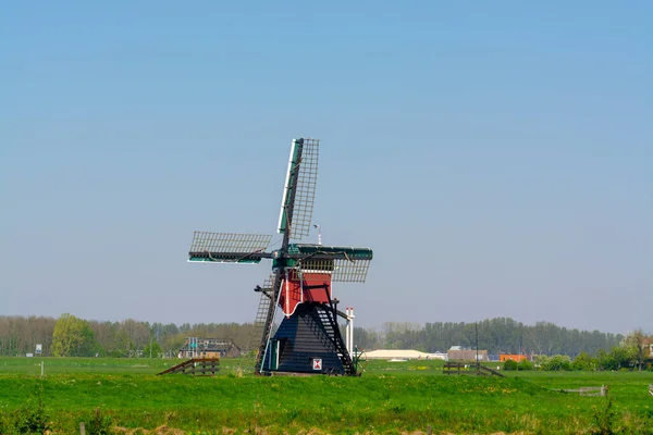 Вид Традиционные Голландские Ветряные Мельницы Весенний Ландшафт Северной Голландии Нидерланды — стоковое фото
