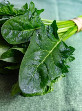 Yeşil taze organik ıspanak yaprakları.