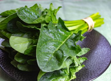 Yeşil taze organik ıspanak yaprakları.