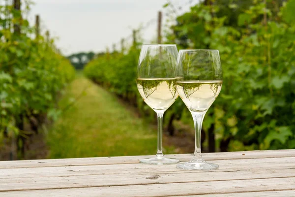Tasting White Wine Dutch Vineyard North Brabant Wine Production Netherlands — Stock Photo, Image