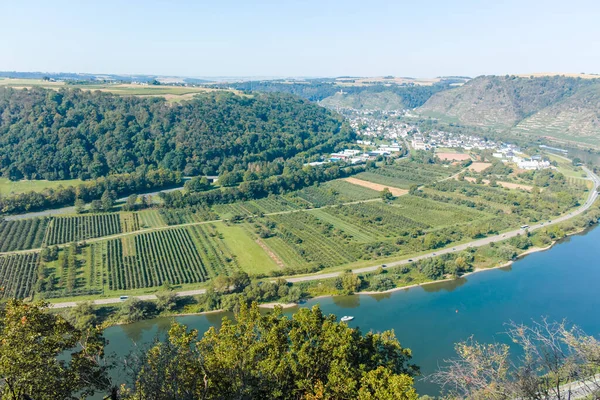 Vista Paisagem Vale Rio Mosel Vinhas Terraços Verdes Alemanha Produção — Fotografia de Stock