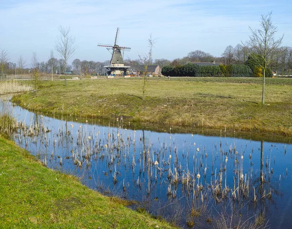 Vårlandskap Med Tradisjonell Nederlandsk Vindmølle Brabant Nær Oerle – stockfoto