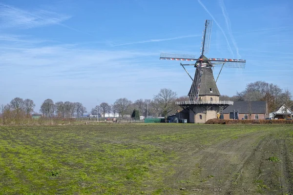 Vårlandskap Med Traditionell Holländsk Väderkvarn Brabant Nära Oerle — Stockfoto