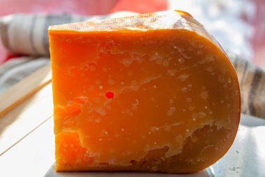 Peynir koleksiyonu, üç yıllık koyu sarı Hollanda peyniri güneş ışığında