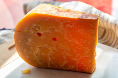 Peynir koleksiyonu, üç yıllık koyu sarı Hollanda peyniri güneş ışığında