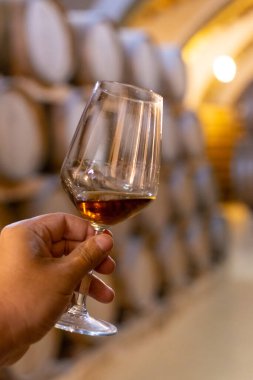 Marsala, Sicilya, İtalya 'da eski meşe fıçılarıyla şarap mahzeninde güçlendirilmiş veya tatlı marsala şarabı tatmak şarap kadehiyle şarap içmek.