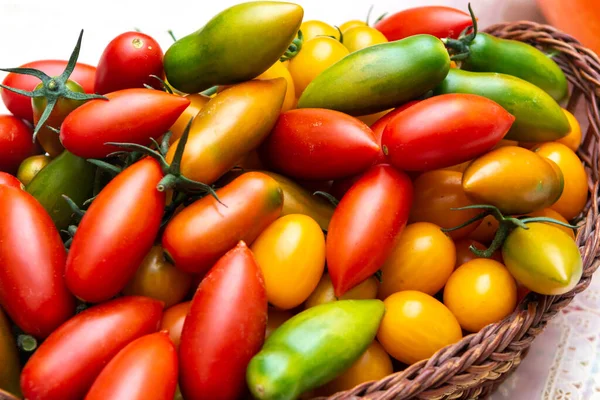 Muitos Pequenos Tomates Frescos Coloridos Maduros — Fotografia de Stock