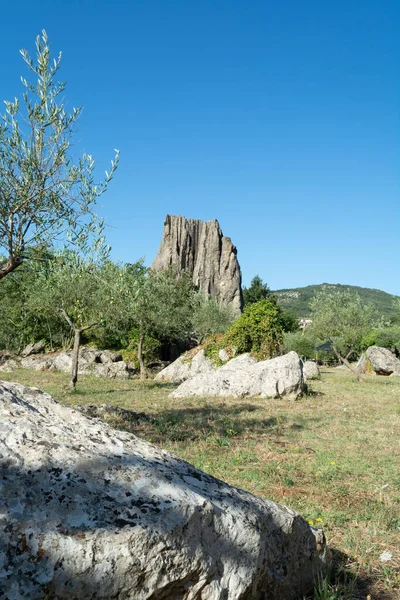 Vista Sobre Monumento Natural Campo Soriano Oliveiras Lazio Itália — Fotografia de Stock