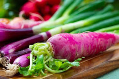 Bir demet taze kırmızı küçük ve uzun turp, havuç ve mor soğan, yeni sağlıklı sebze hasadı yakın plan