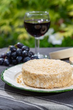 Fransız peyniri koleksiyonu, mayalanmış inek sütü peyniri Camembert au Calvados yeşil bahçede bir bardak kırmızı şarap ile servis ediliyor.