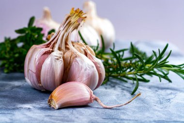 Tam pembe-mor sarımsak soğanları ve taze mutfak otları gri mermer kalasa kapanıyor.