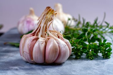 Tam pembe-mor sarımsak soğanları ve taze mutfak otları gri mermer kalasa kapanıyor.