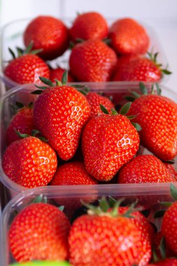 Piyasadaki kutularda taze kırmızı, olgun, kaliteli çilek.