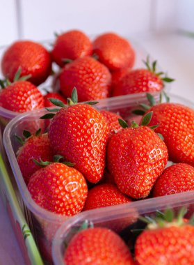 Piyasadaki kutularda taze kırmızı, olgun, kaliteli çilek.