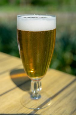 Soğuk Belçika beyaz birası güneşli bir günde dışarıda servis edilir.