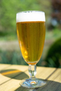 Soğuk Belçika beyaz birası güneşli bir günde dışarıda servis edilir.