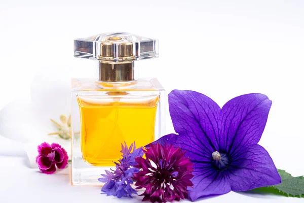 Creatie Van Parfum Essentie Zomer Bloemen Zoete Lichte Geur Parfum — Stockfoto