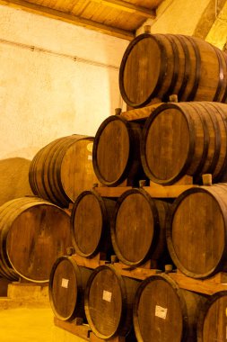 Eski meşe fıçıları olan eski şarap mahzeni, İtalya, Sicilya, Marsala 'da güçlendirilmiş kuru veya tatlı marsala şarabı üretimi