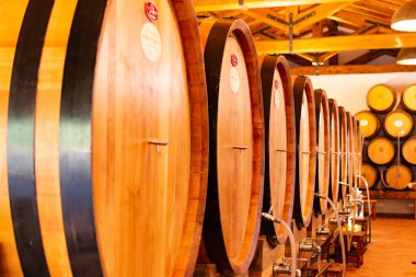 İtalyan şaraphanesinde farklı türde şarapları olan meşe fıçıları olan mahzenler, şarap tatma ve satışı