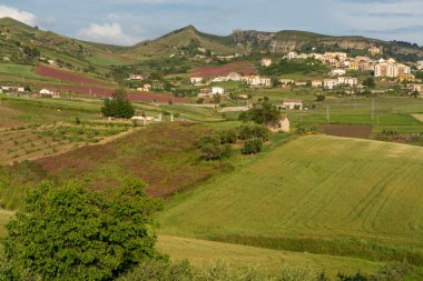 Rengarenk çayırları ve tarlaları olan manzara, Sicilya 'dan gelen bal çiçekleri sulla, Güney İtalya' da tarım
